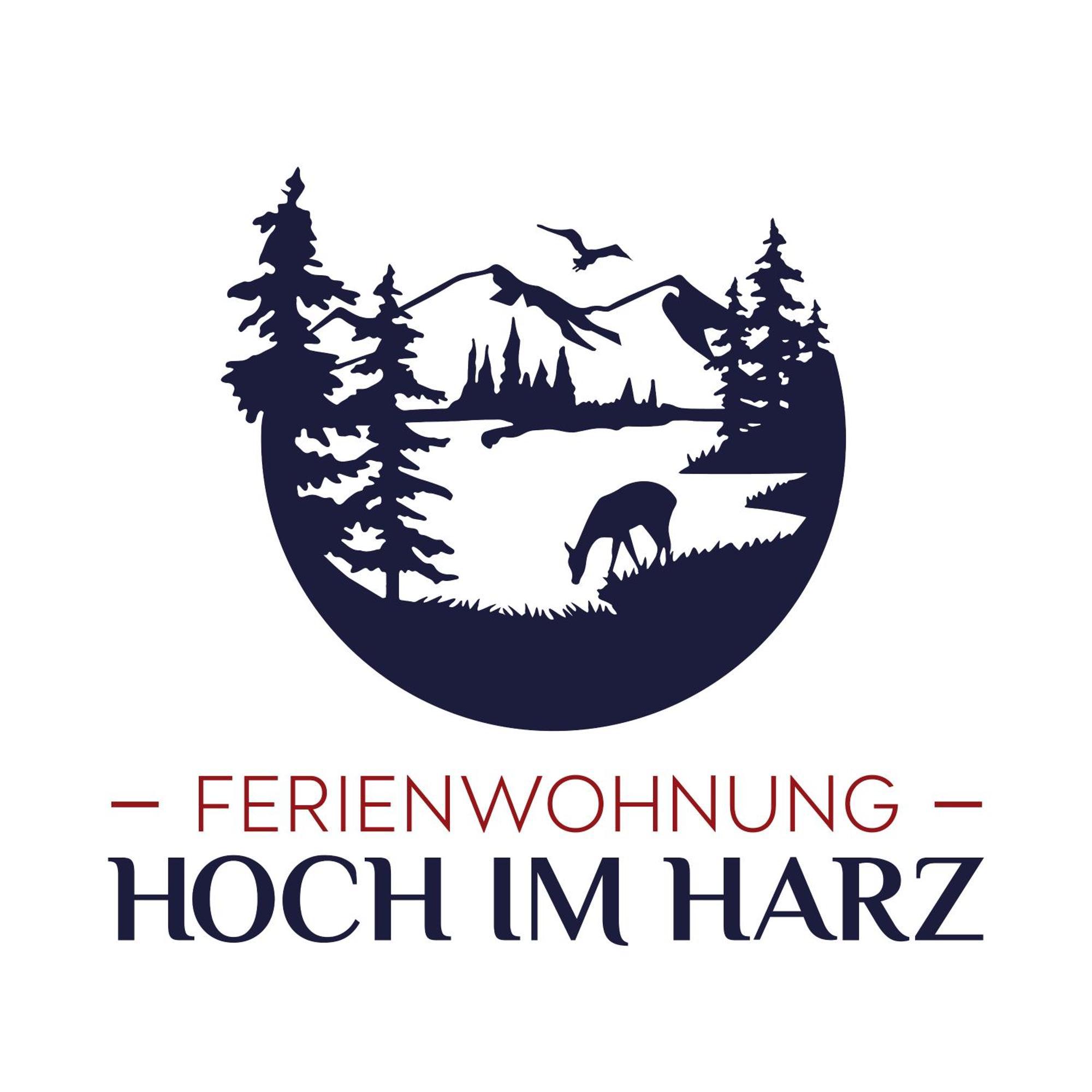 Ferienwohnung Hoch Im Harz, Altenau Altenau  Dış mekan fotoğraf